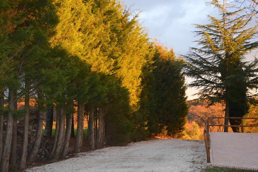 Agriturismo La Collina بيتيجليانو المظهر الخارجي الصورة