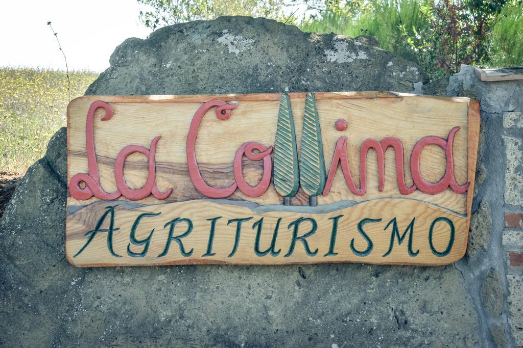 Agriturismo La Collina بيتيجليانو المظهر الخارجي الصورة